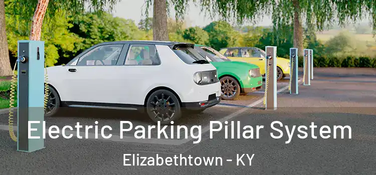 Electric Parking Pillar System Elizabethtown - KY