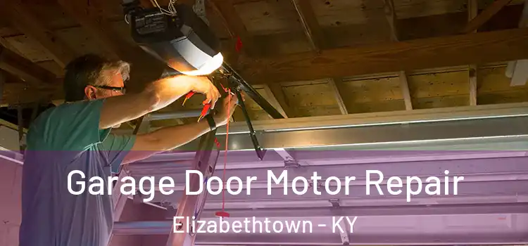  Garage Door Motor Repair Elizabethtown - KY