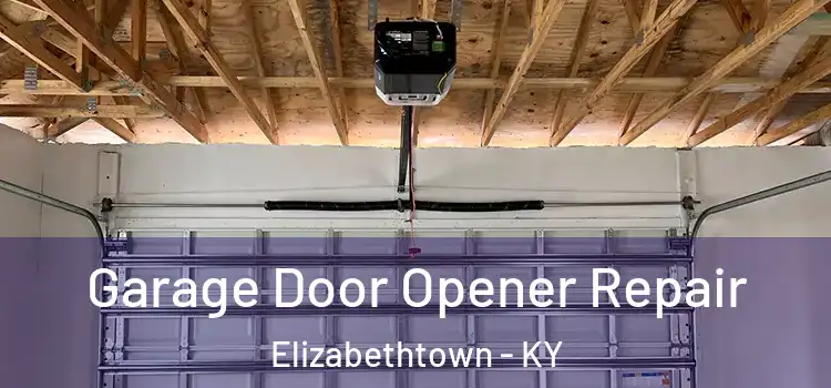  Garage Door Opener Repair Elizabethtown - KY