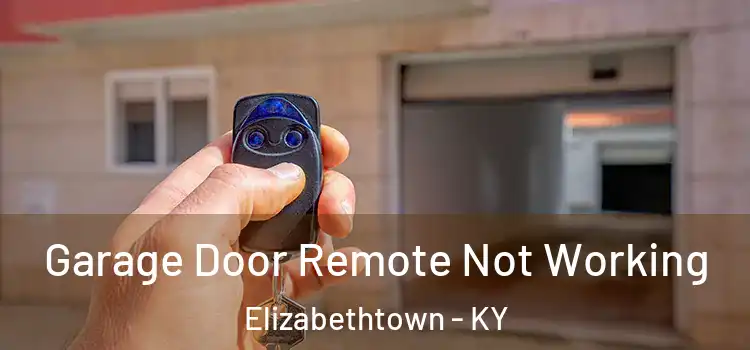  Garage Door Remote Not Working Elizabethtown - KY