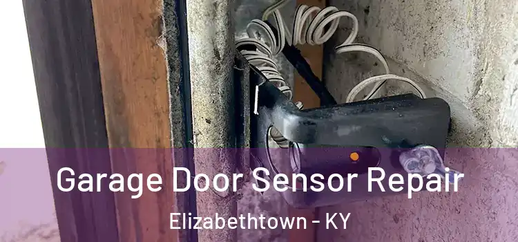 Garage Door Sensor Repair Elizabethtown - KY