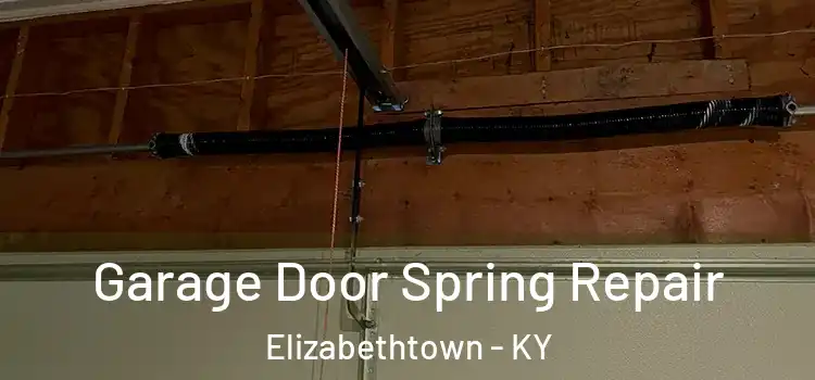  Garage Door Spring Repair Elizabethtown - KY