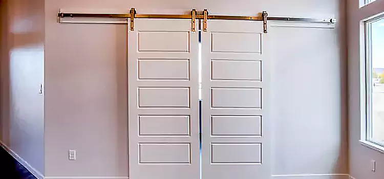 Glass Barn Door with Installation Hardware Kit Elizabethtown