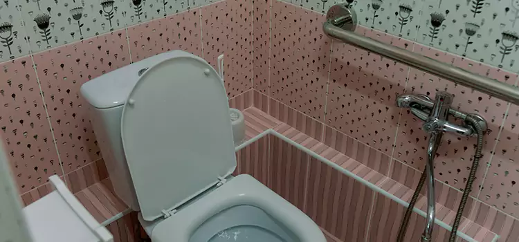 Meeting Diverse Needs With Accessible Restroom Solutions in Elizabethtown, KY