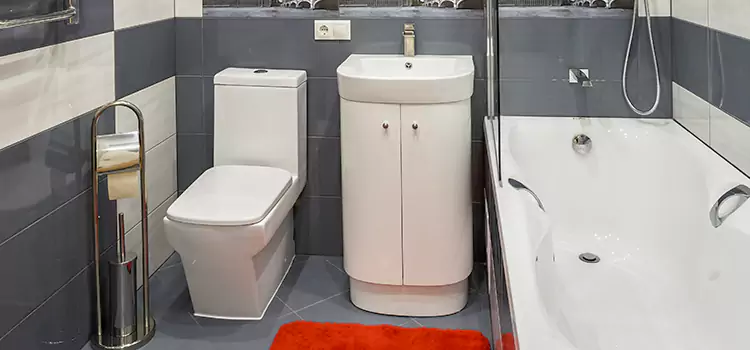 Hansgrohe Shaving Mirror Elizabethtown