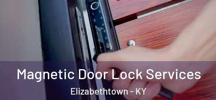 Magnetic Door Lock Services Elizabethtown - KY