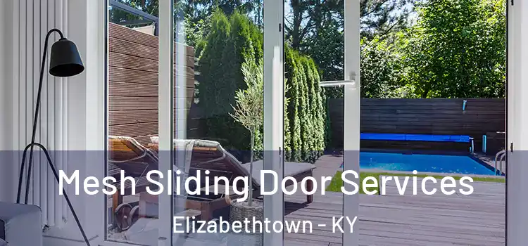 Mesh Sliding Door Services Elizabethtown - KY
