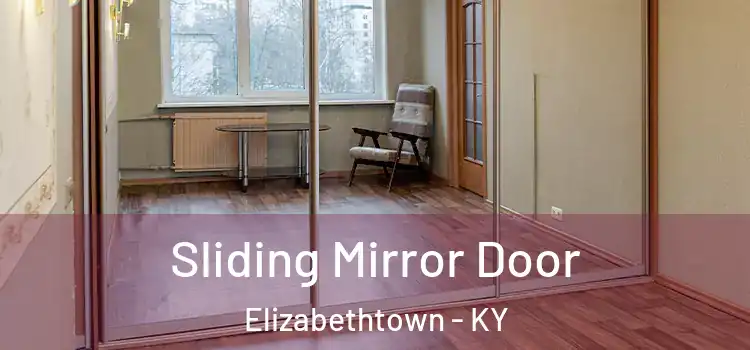  Sliding Mirror Door Elizabethtown - KY